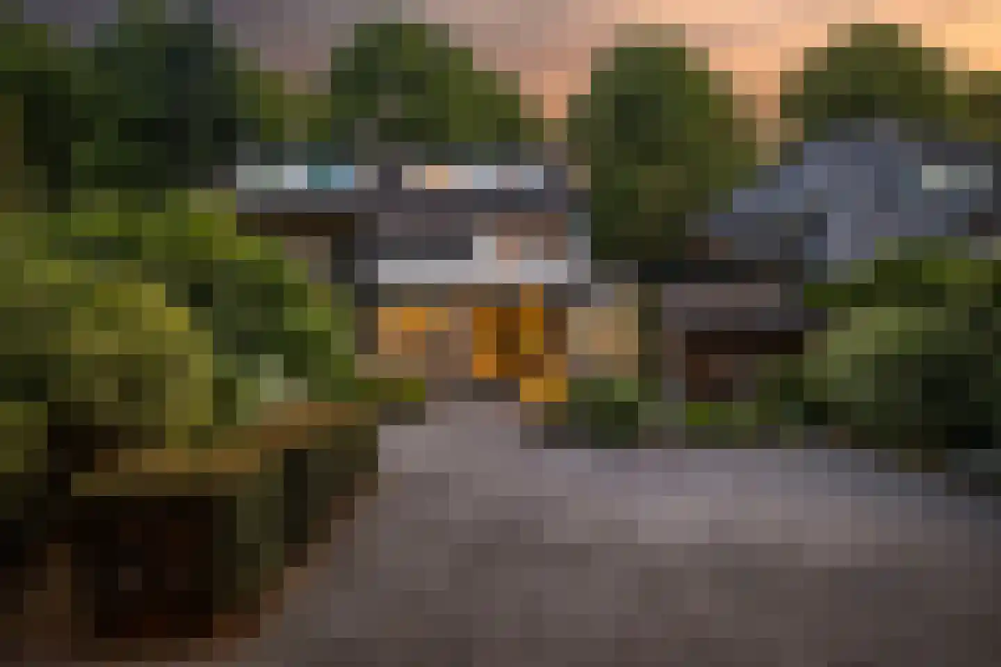 Julianalaan 13 Ede thumbnail 52