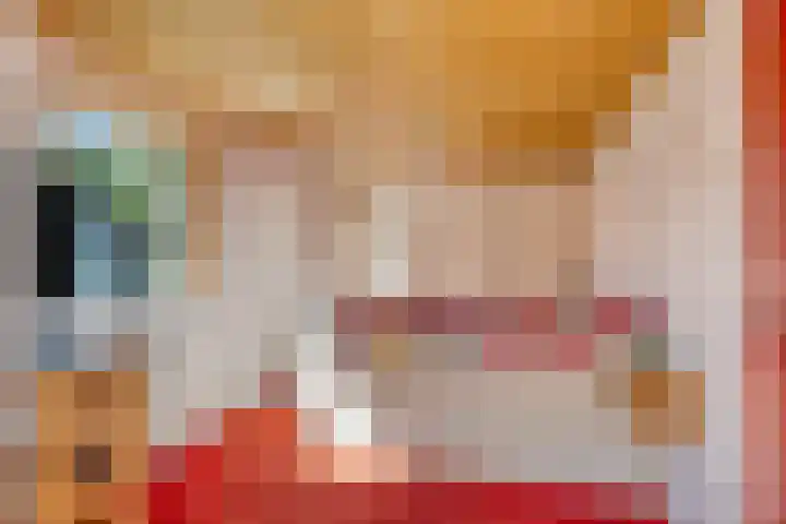 Julianalaan 13 Gieten thumbnail 18