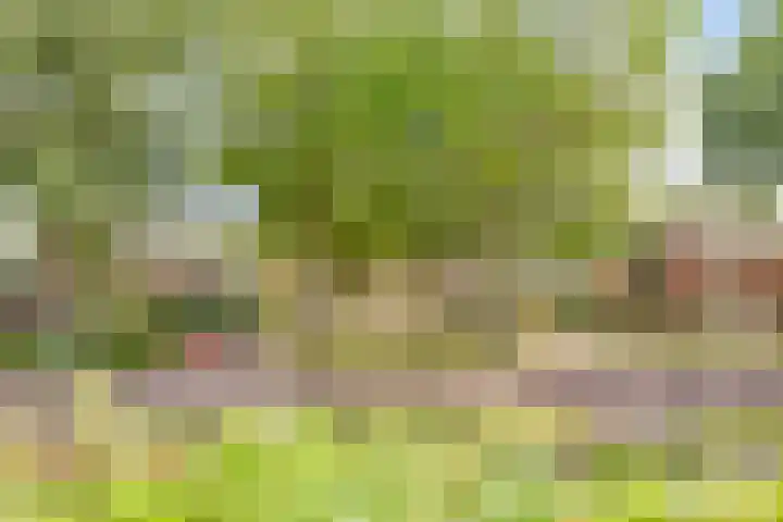 Julianalaan 13 Gieten thumbnail 20