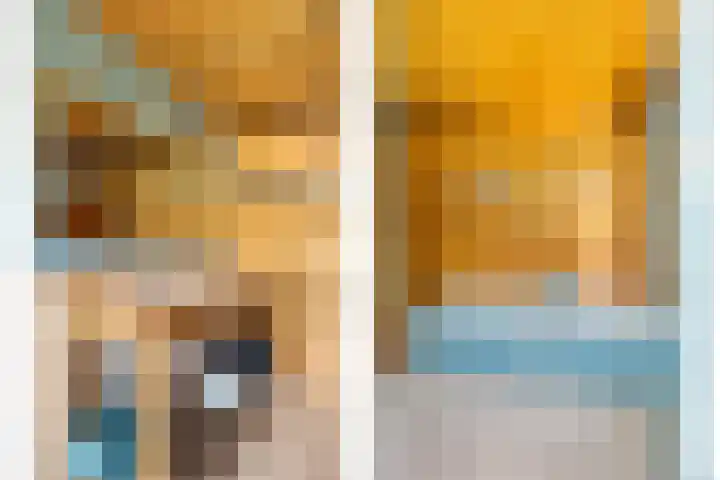 Julianalaan 13 Gieten thumbnail 22