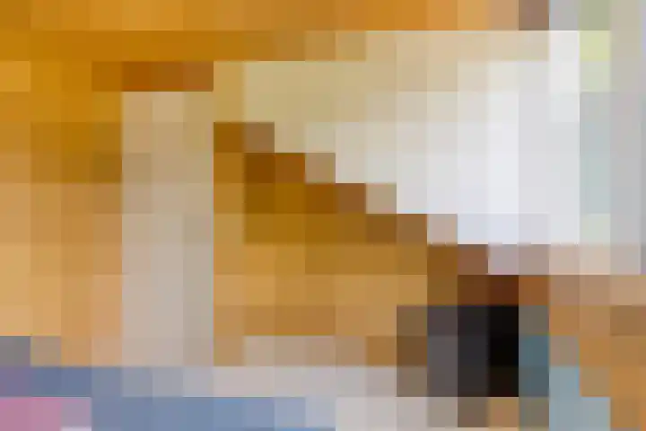 Julianalaan 13 Gieten thumbnail 23