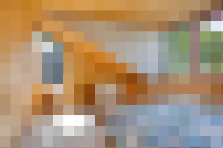 Julianalaan 13 Gieten thumbnail 26
