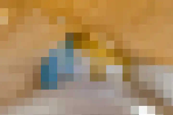 Julianalaan 13 Gieten thumbnail 27