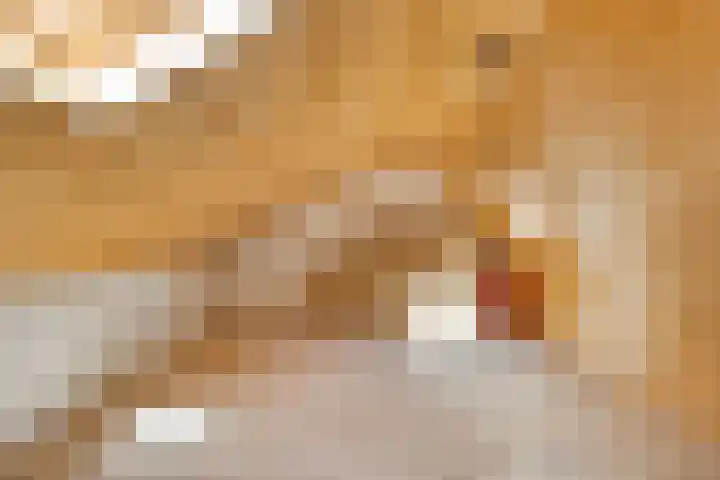 Julianalaan 13 Gieten thumbnail 28