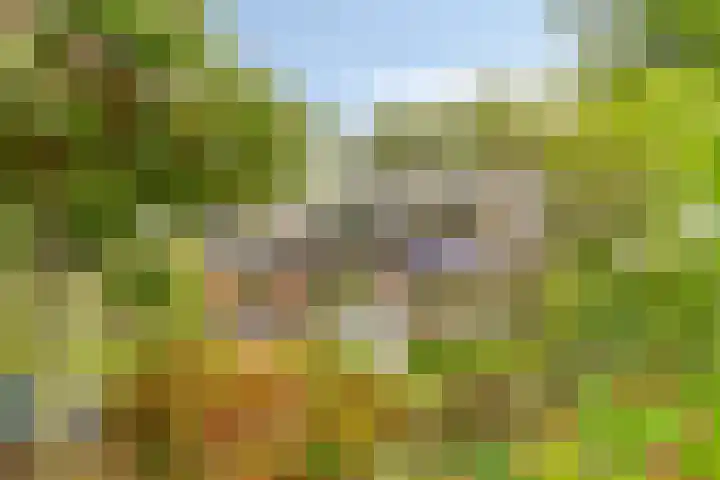 Julianalaan 13 Gieten thumbnail 29
