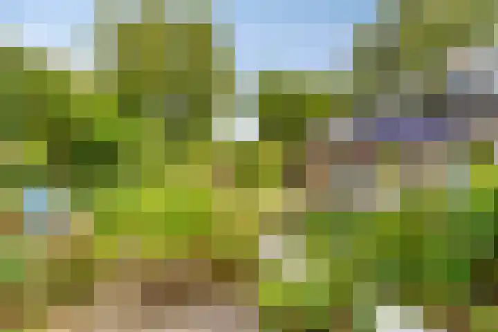 Julianalaan 13 Gieten thumbnail 30