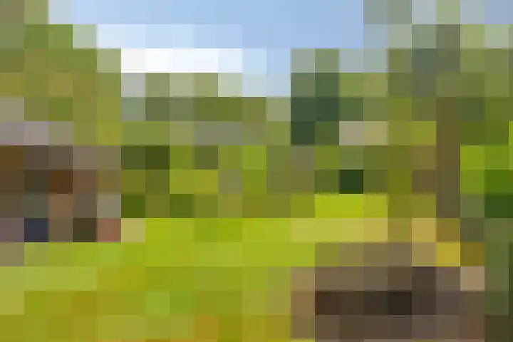 Julianalaan 13 Gieten thumbnail 34