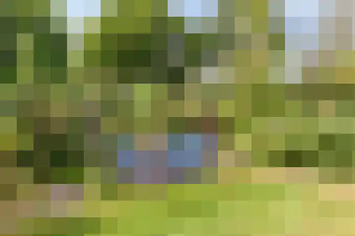 Julianalaan 13 Gieten thumbnail 36
