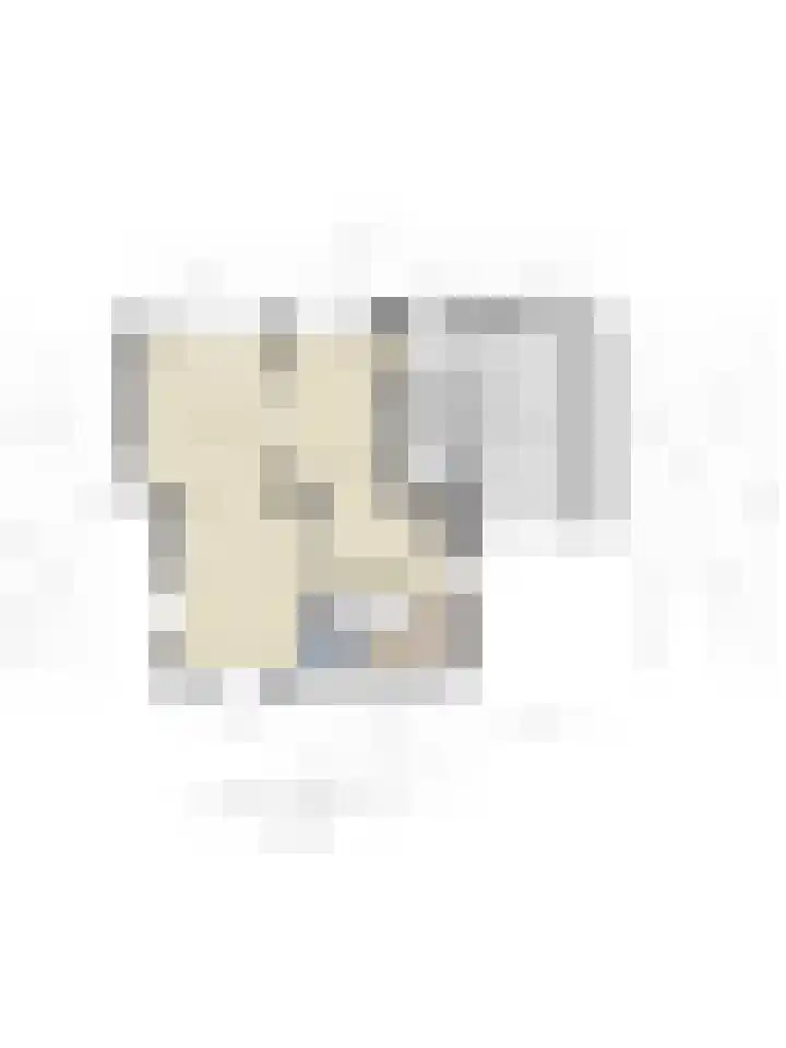Julianalaan 13 Gieten thumbnail 38