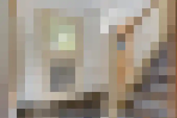 Julianalaan 13 Gieten thumbnail 4