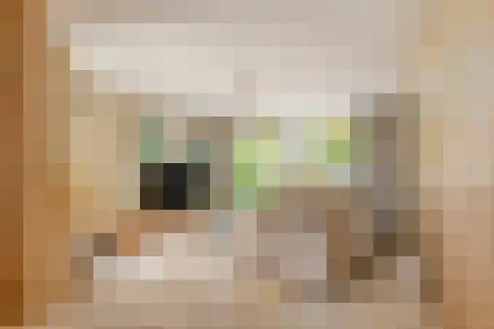 Julianalaan 13 Gieten thumbnail 6