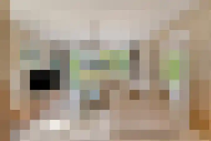 Julianalaan 13 Gieten thumbnail 8