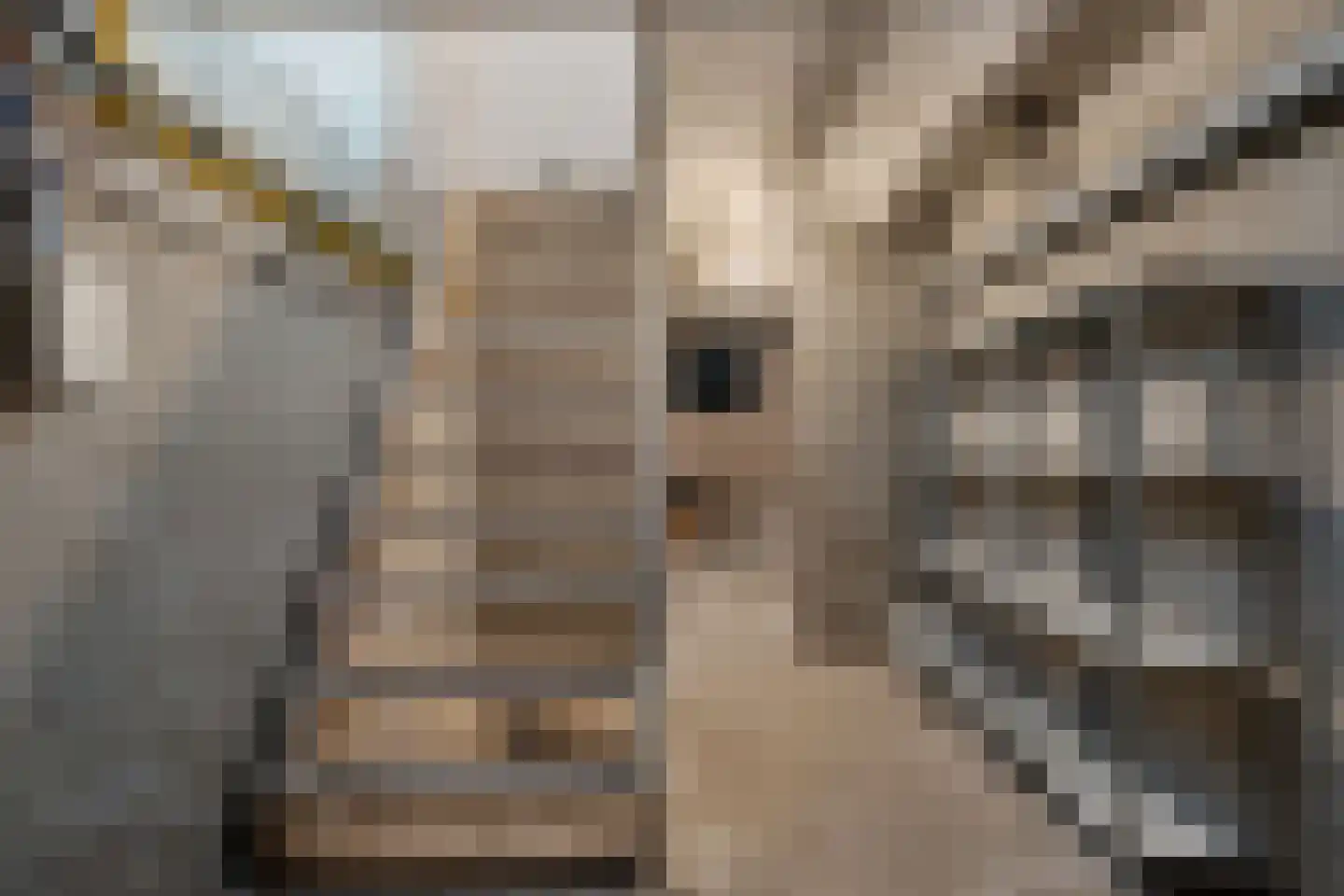 Julianalaan 13 Harderwijk thumbnail 51