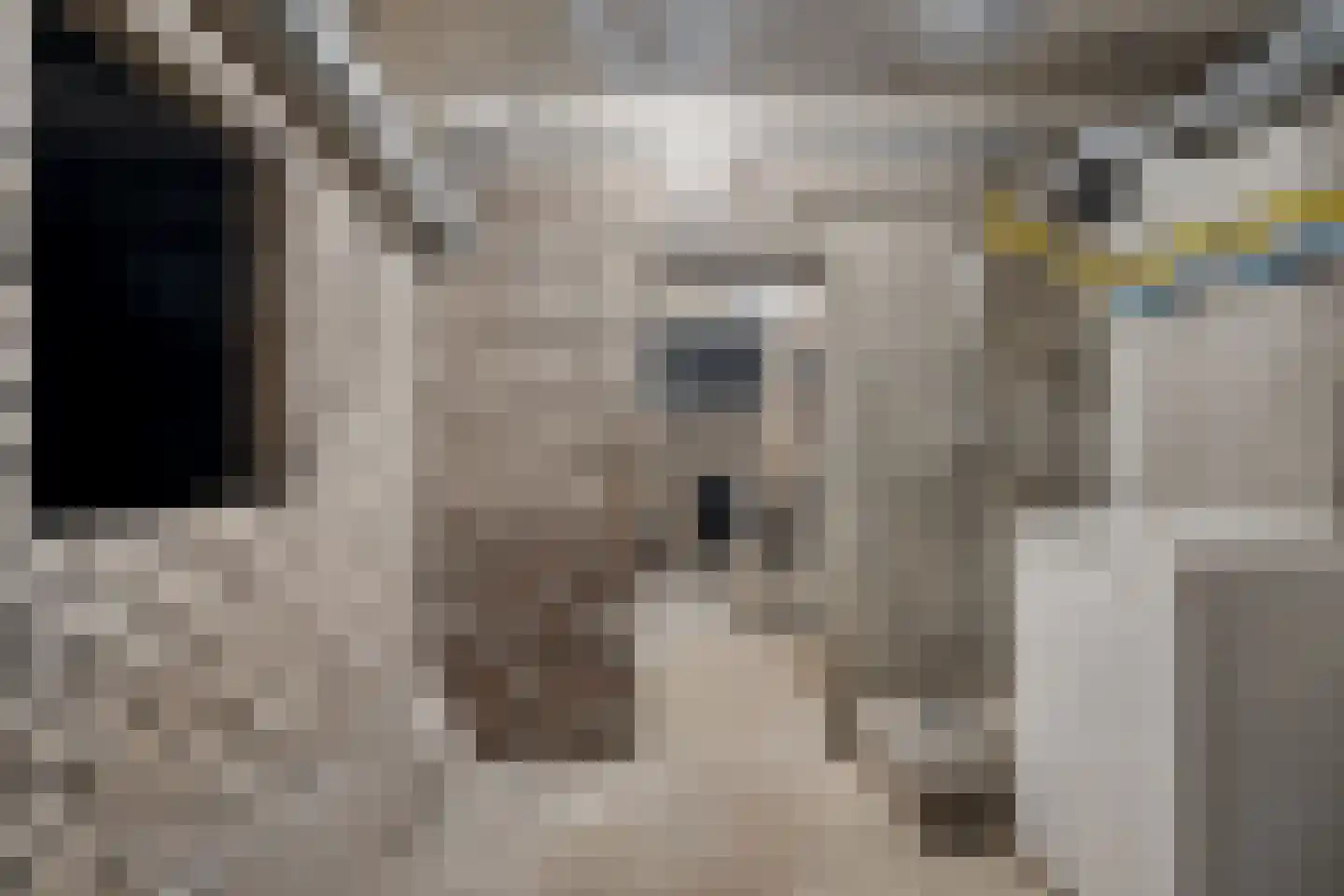Julianalaan 13 Harderwijk thumbnail 52