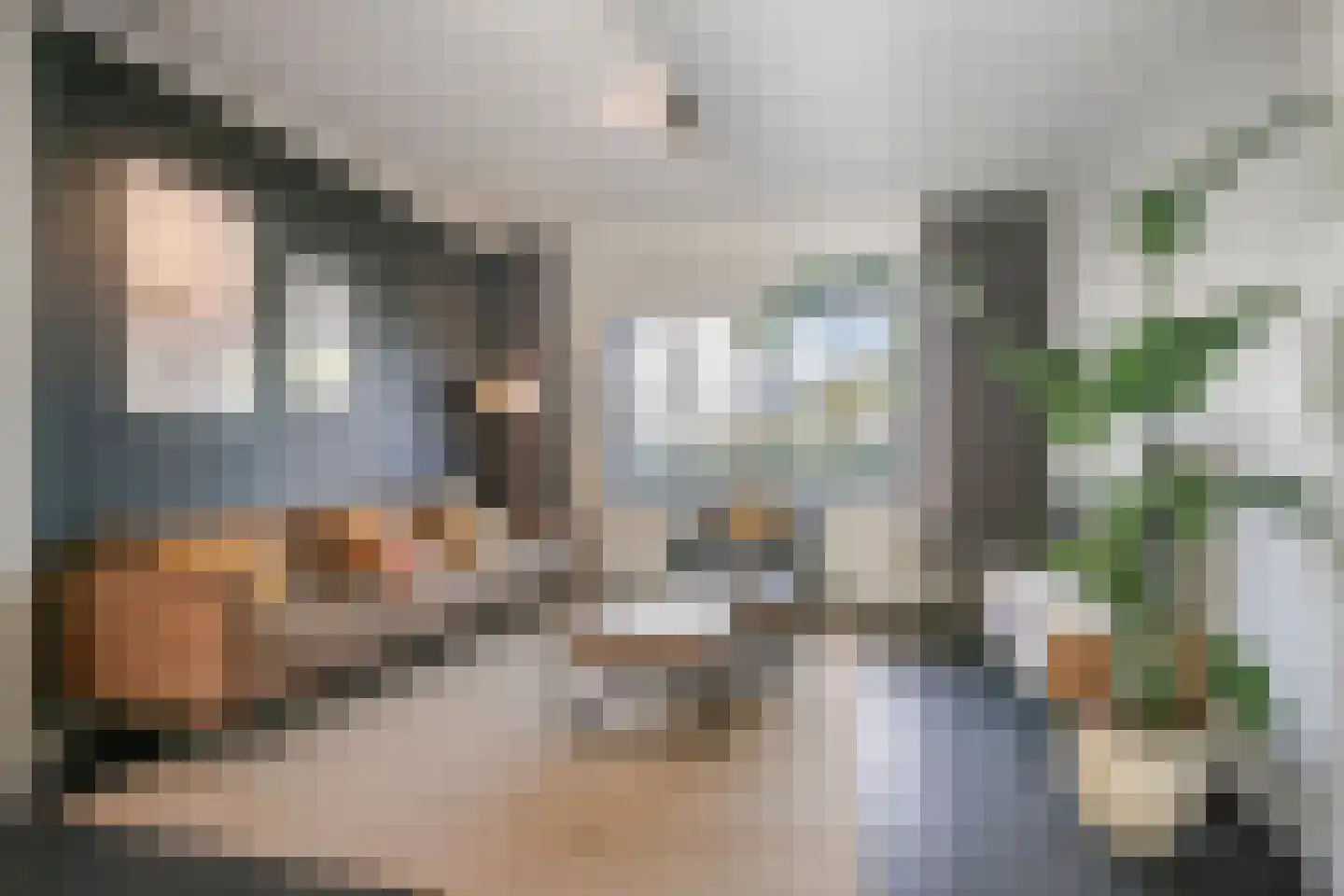 Julianalaan 13 Helmond thumbnail 11