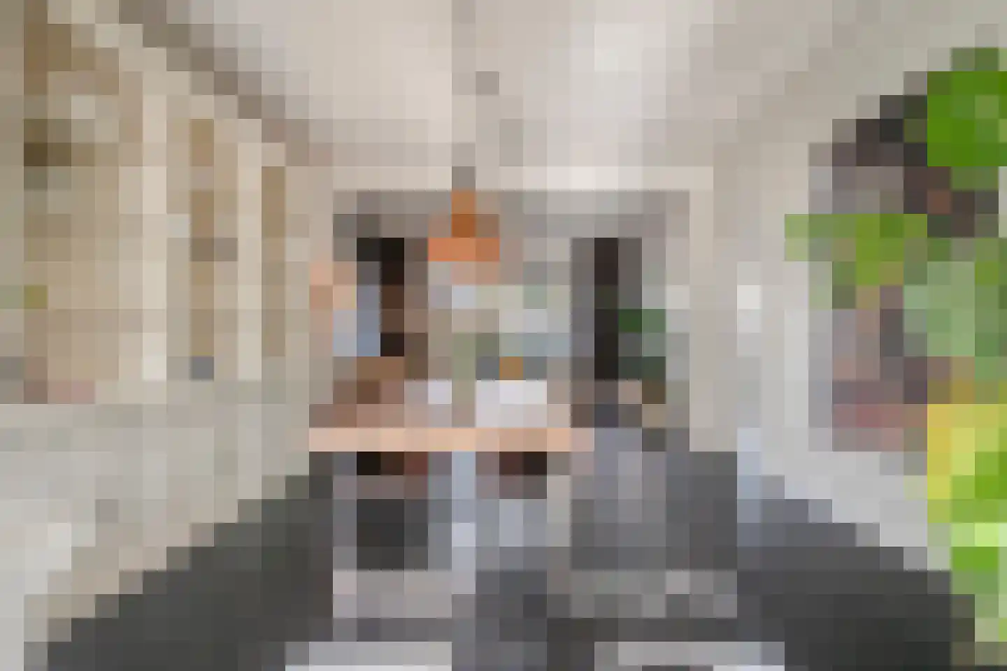 Julianalaan 13 Helmond thumbnail 13