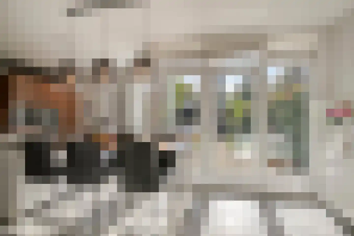 Julianalaan 13 Helmond thumbnail 14
