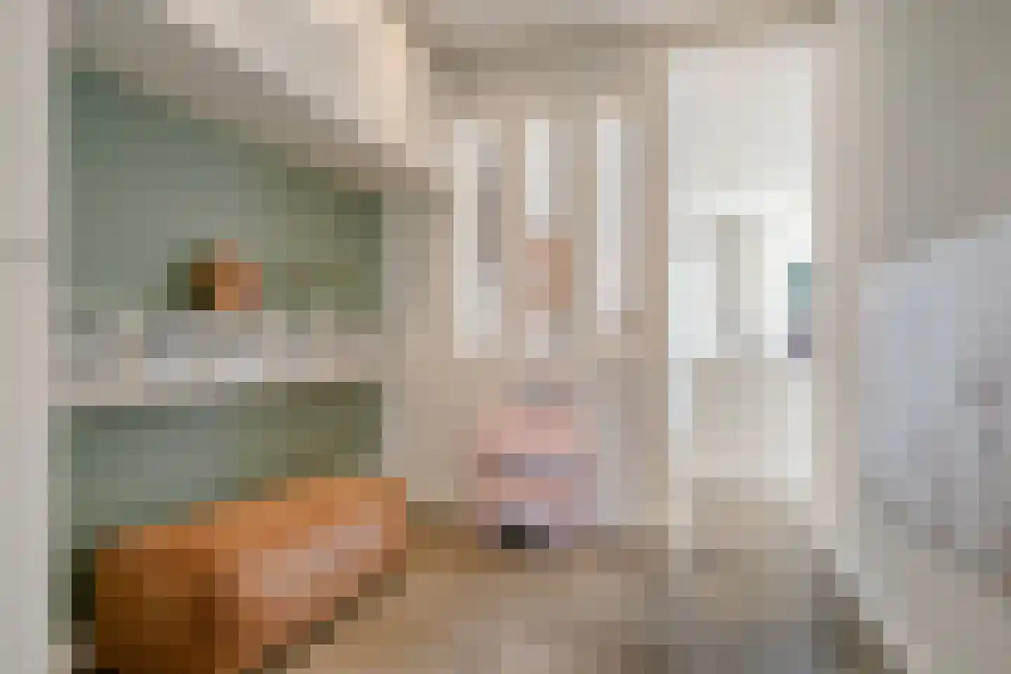 Julianalaan 13 Helmond thumbnail 19