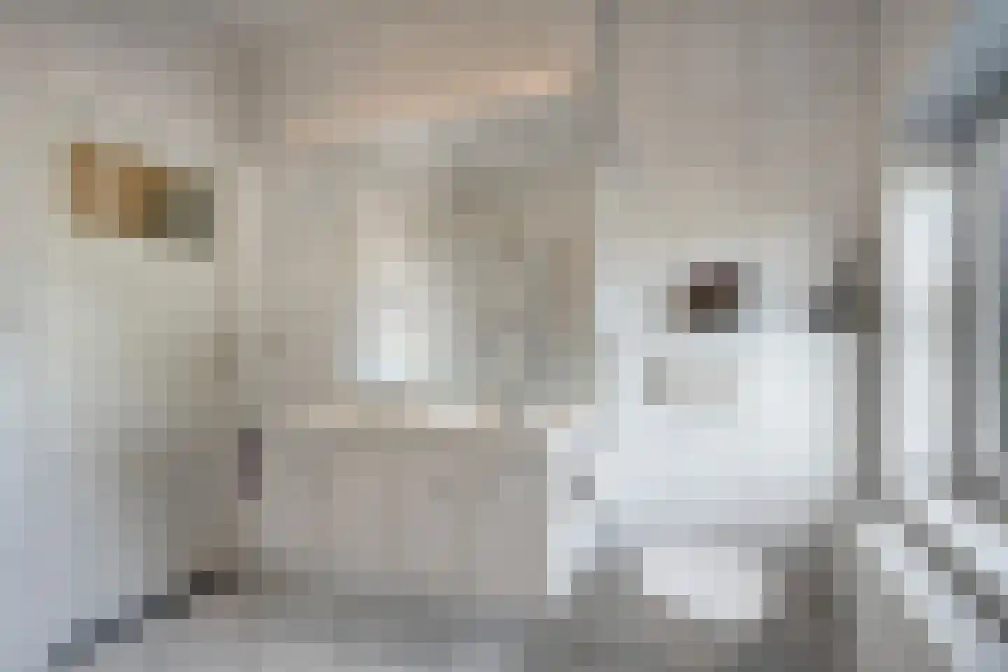 Julianalaan 13 Helmond thumbnail 23