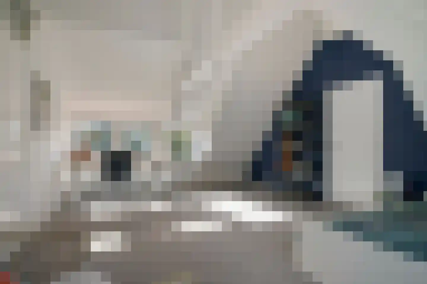 Julianalaan 13 Helmond thumbnail 32