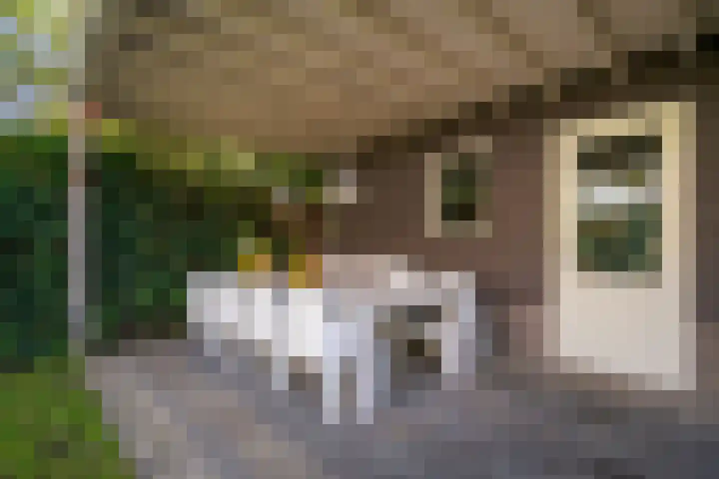 Julianalaan 13 Helmond thumbnail 39