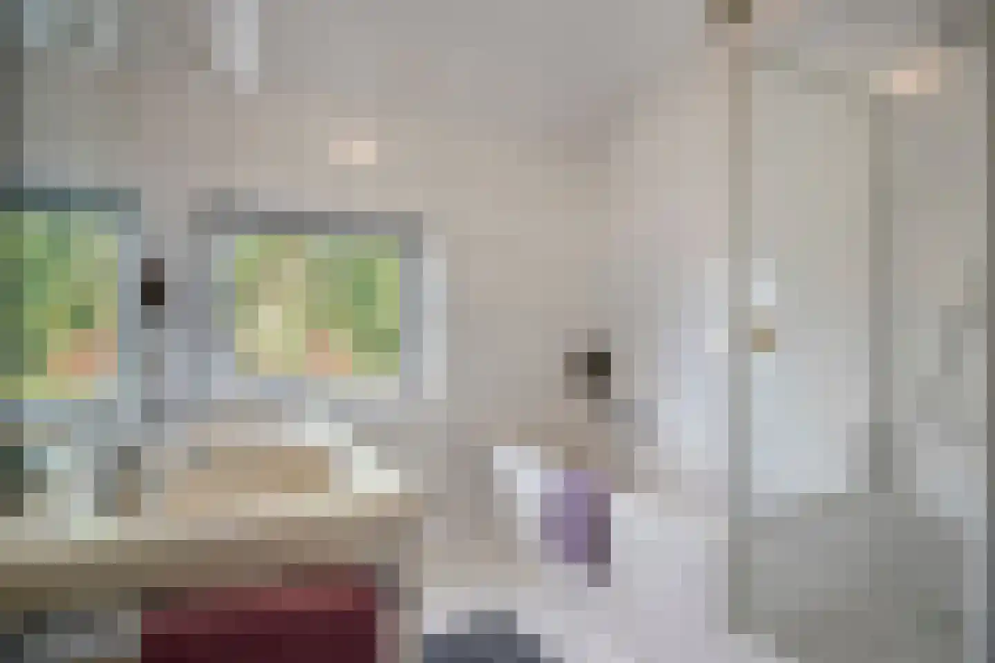 Julianalaan 13 Helmond thumbnail 6