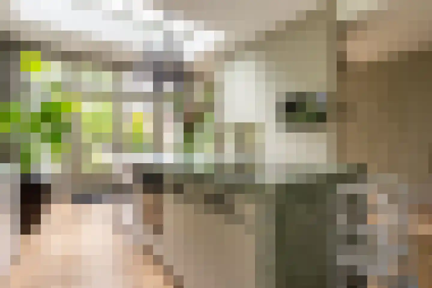 Julianalaan 13 Hilversum thumbnail 11