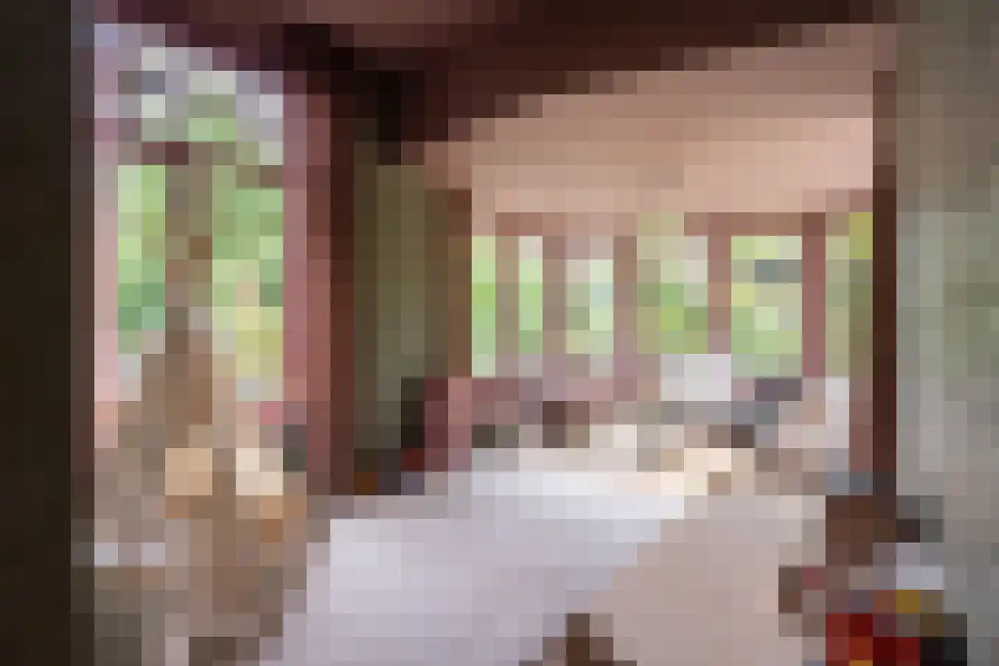Julianalaan 13 Hilversum thumbnail 14