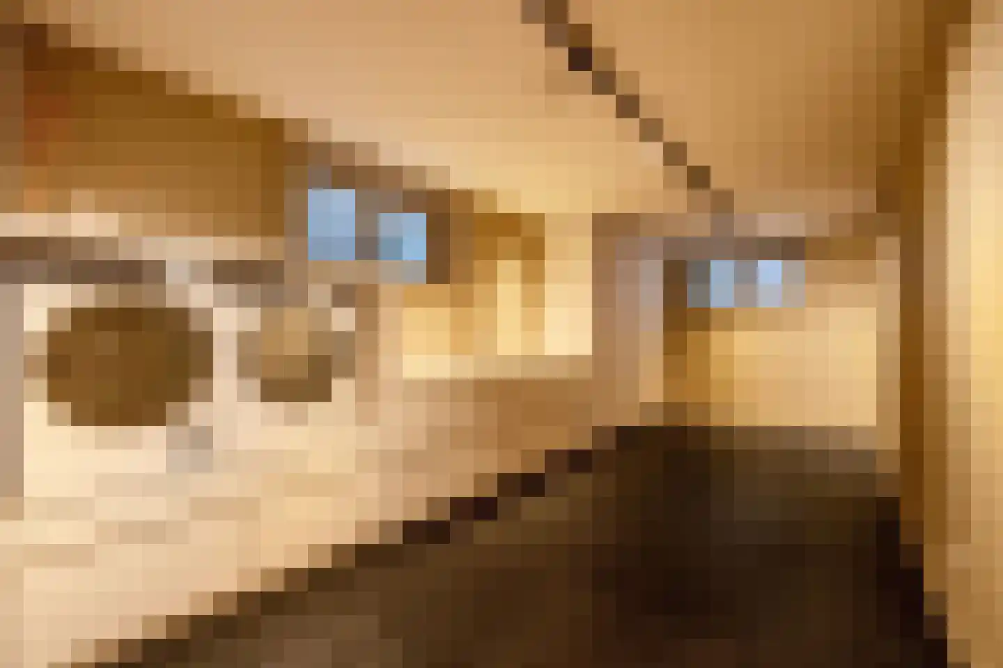Julianalaan 13 Hilversum thumbnail 15