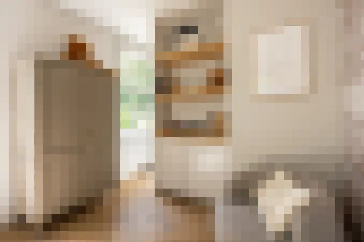 Julianalaan 13 Hilversum thumbnail 22