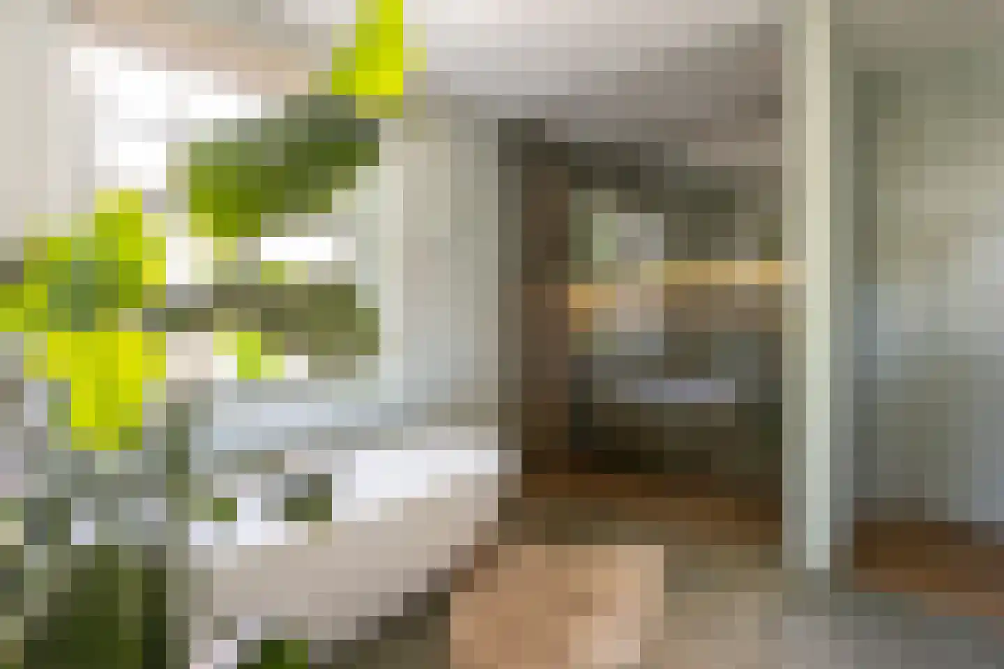 Julianalaan 13 Hilversum thumbnail 28