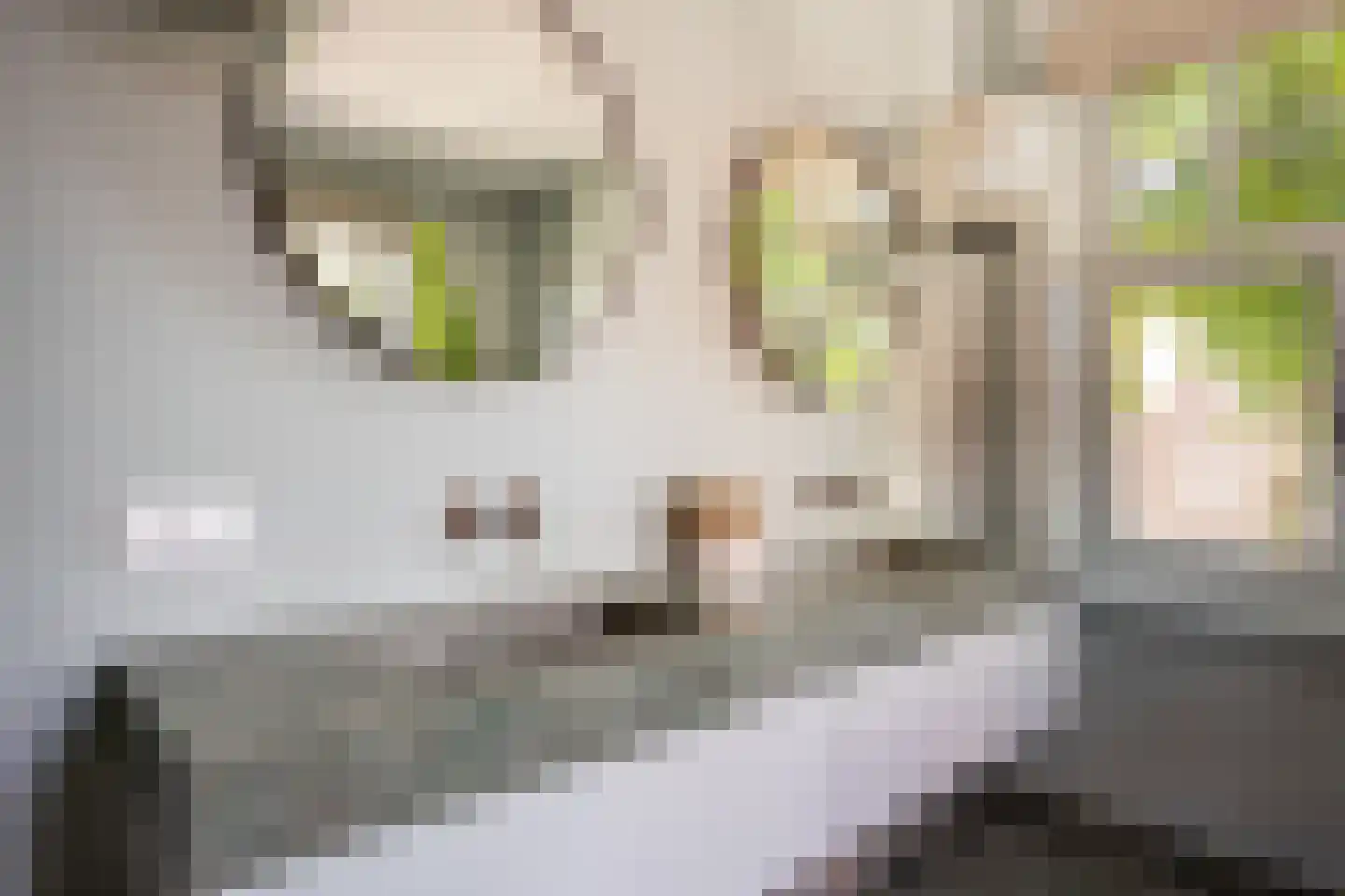 Julianalaan 13 Hilversum thumbnail 29