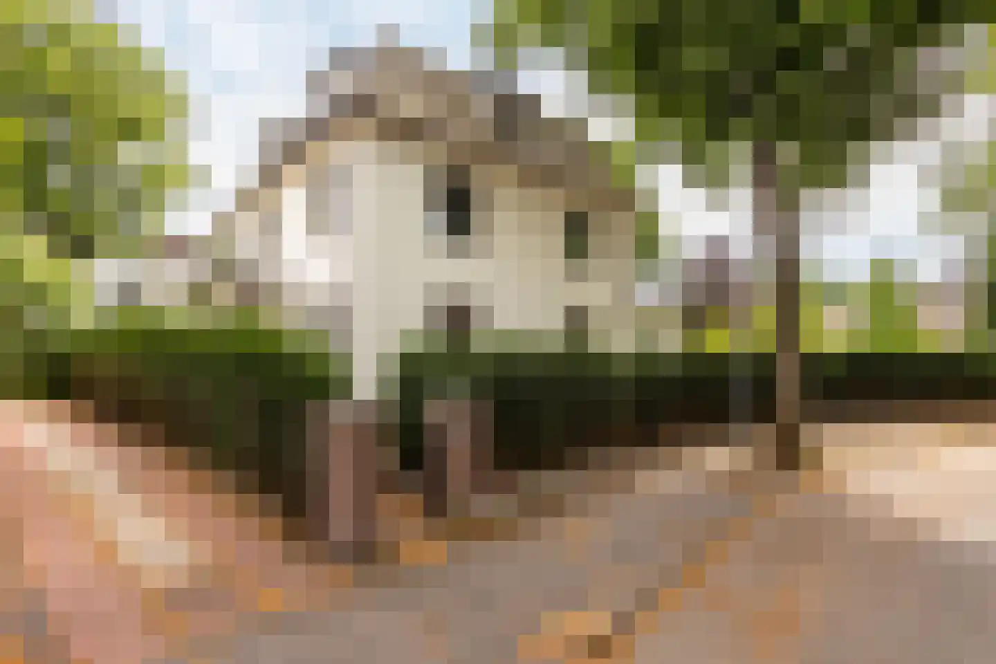 Julianalaan 13 Hilversum thumbnail 41