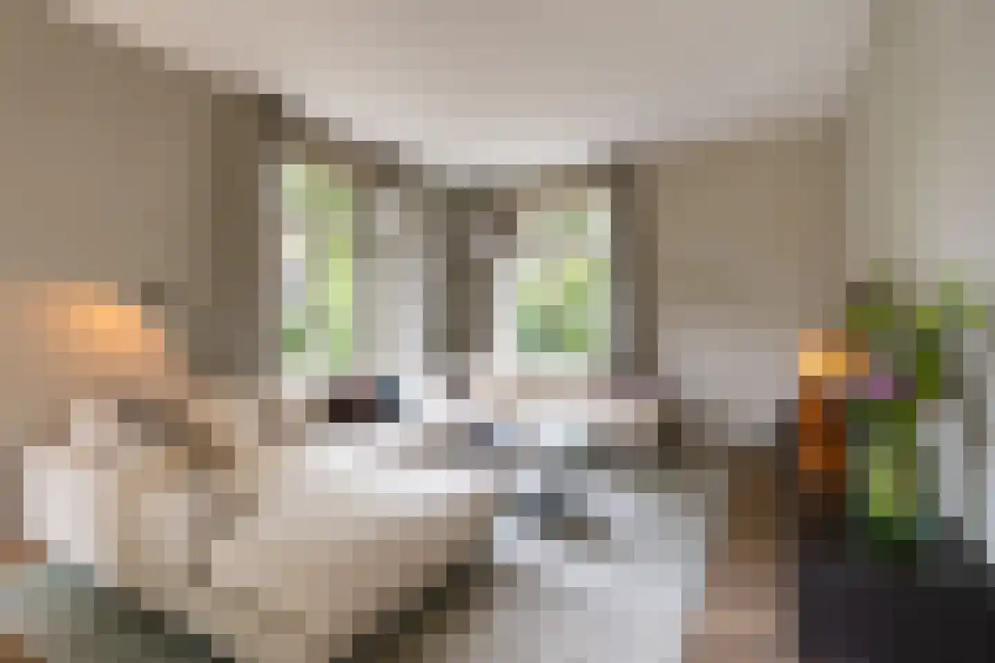 Julianalaan 13 Hilversum thumbnail 6
