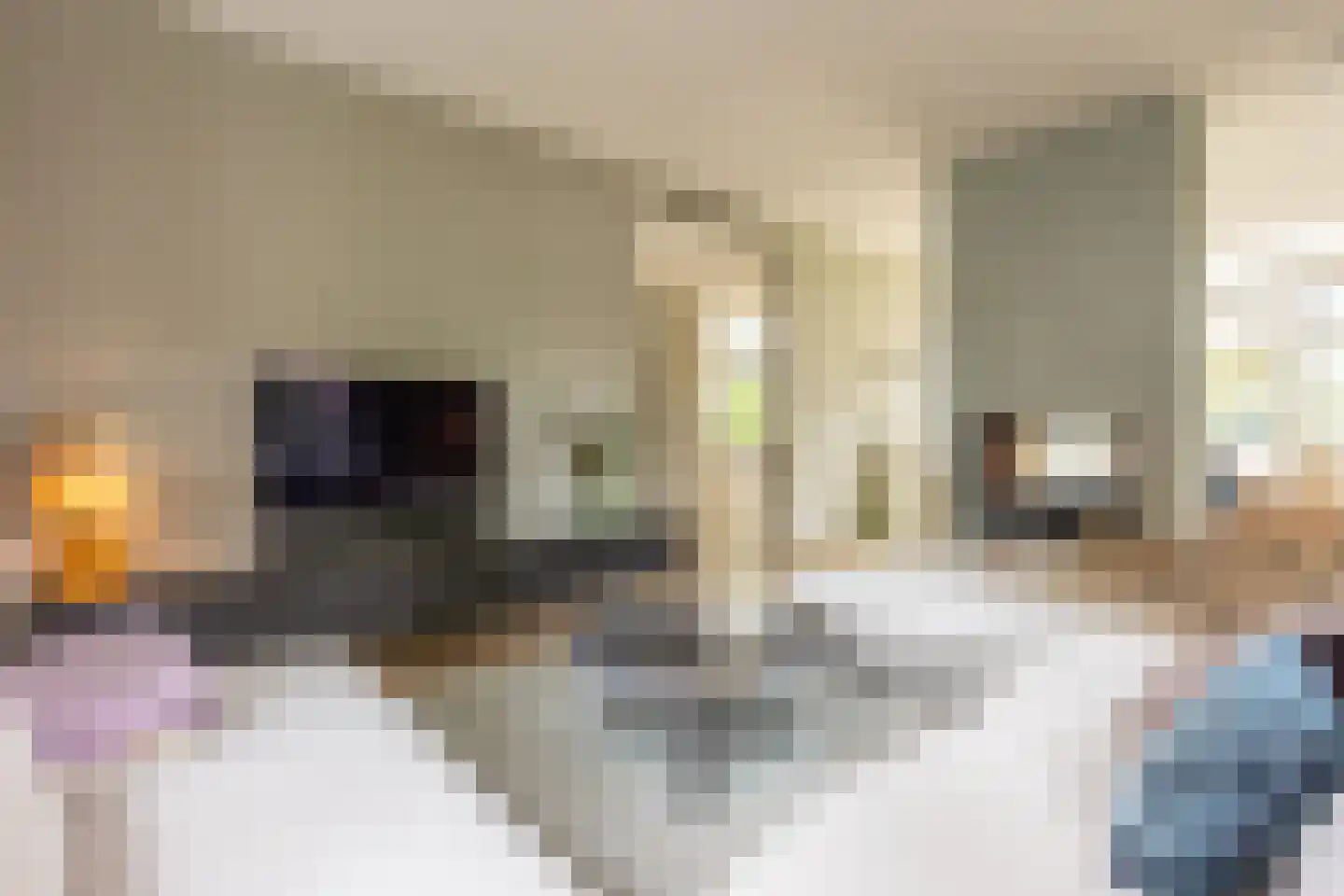 Julianalaan 13 Hilversum thumbnail 7