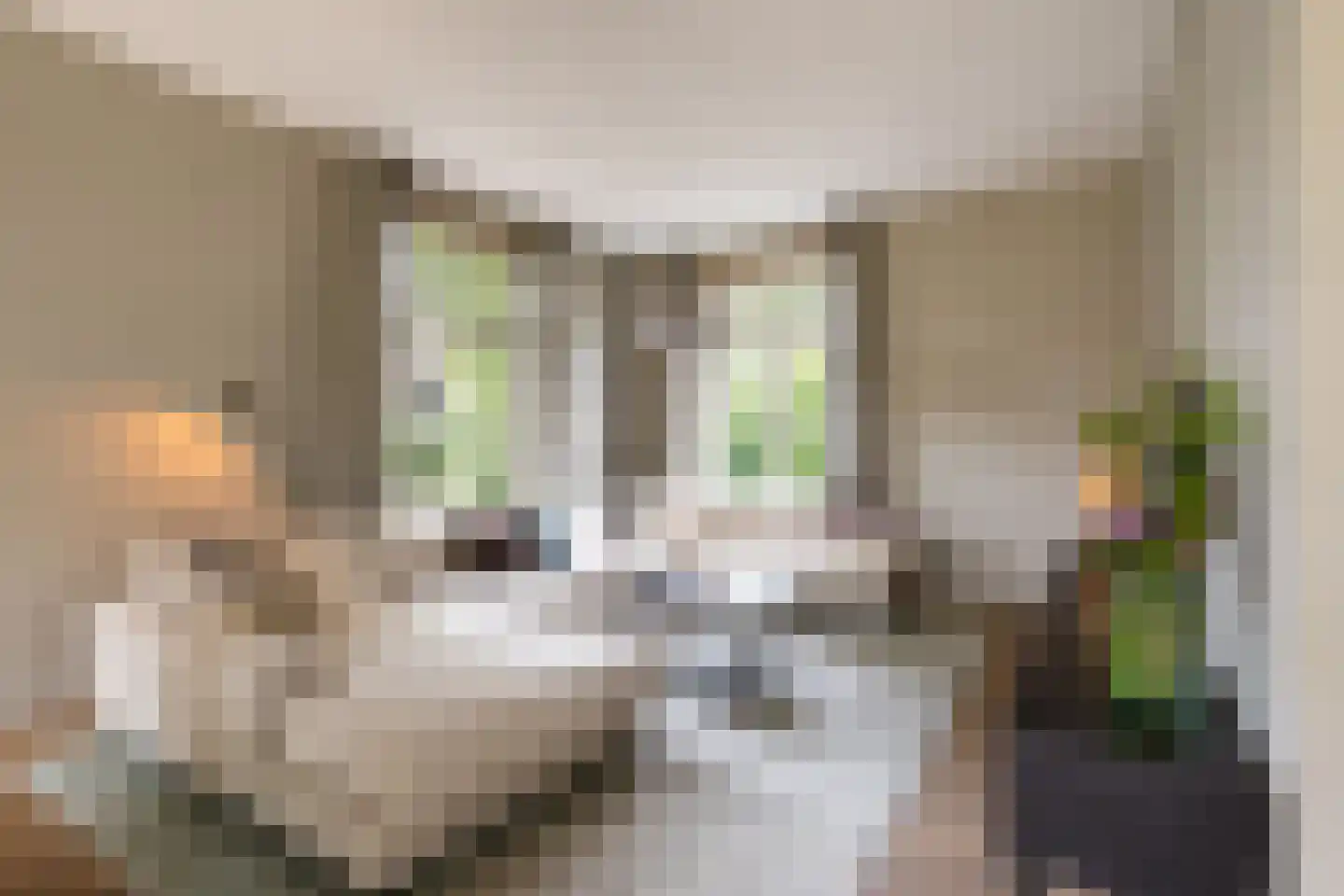 Julianalaan 13 Hilversum thumbnail 7
