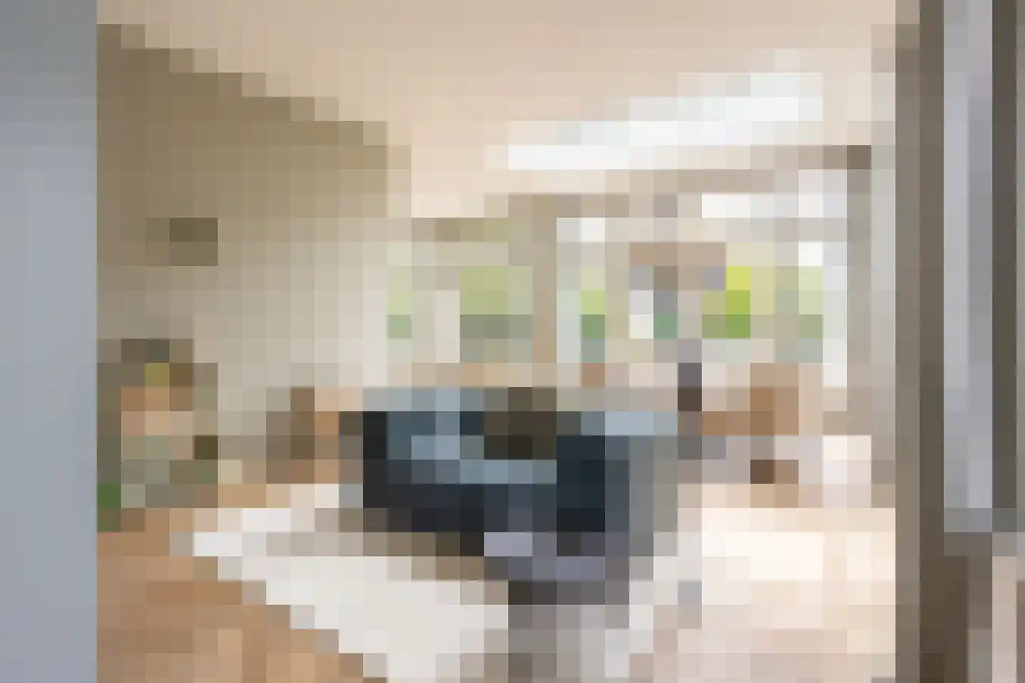 Julianalaan 13 Hilversum thumbnail 8