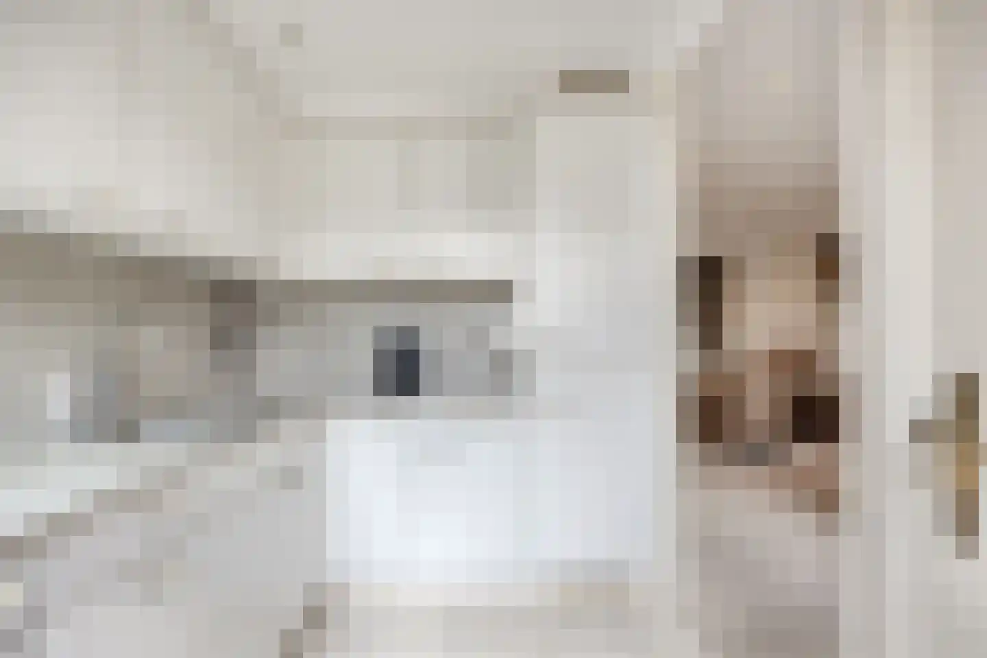 Julianalaan 13 Pijnacker thumbnail 10