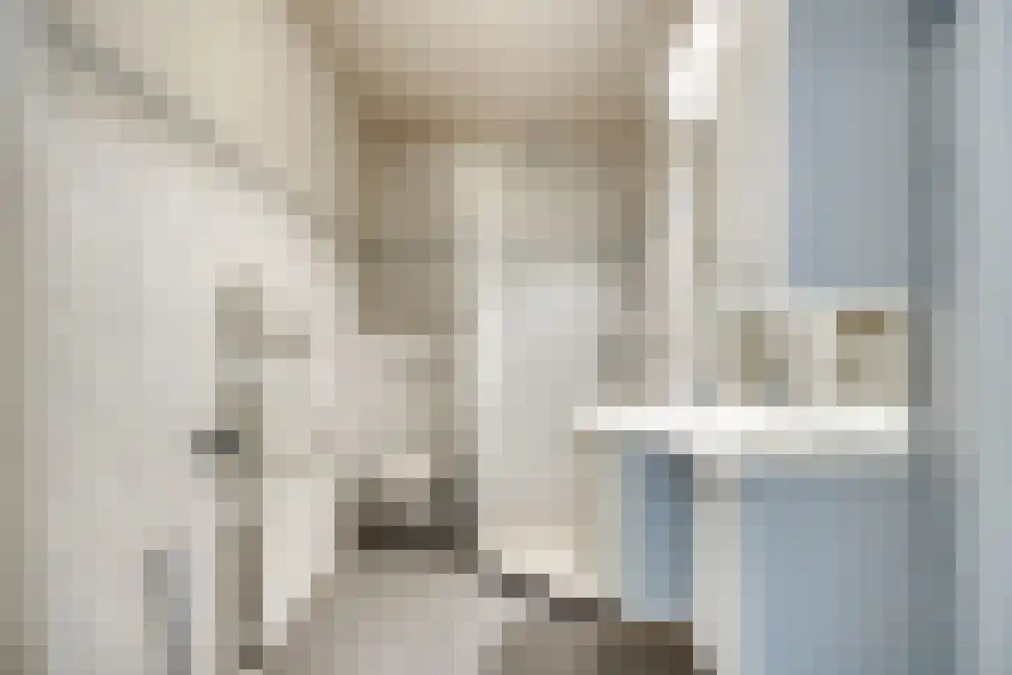 Julianalaan 13 Pijnacker thumbnail 12