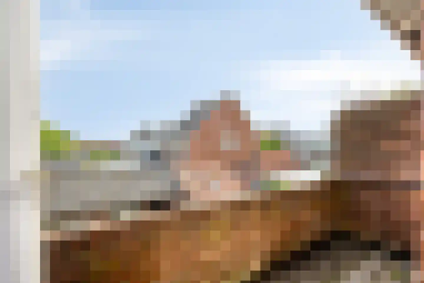 Julianalaan 13 Pijnacker thumbnail 15