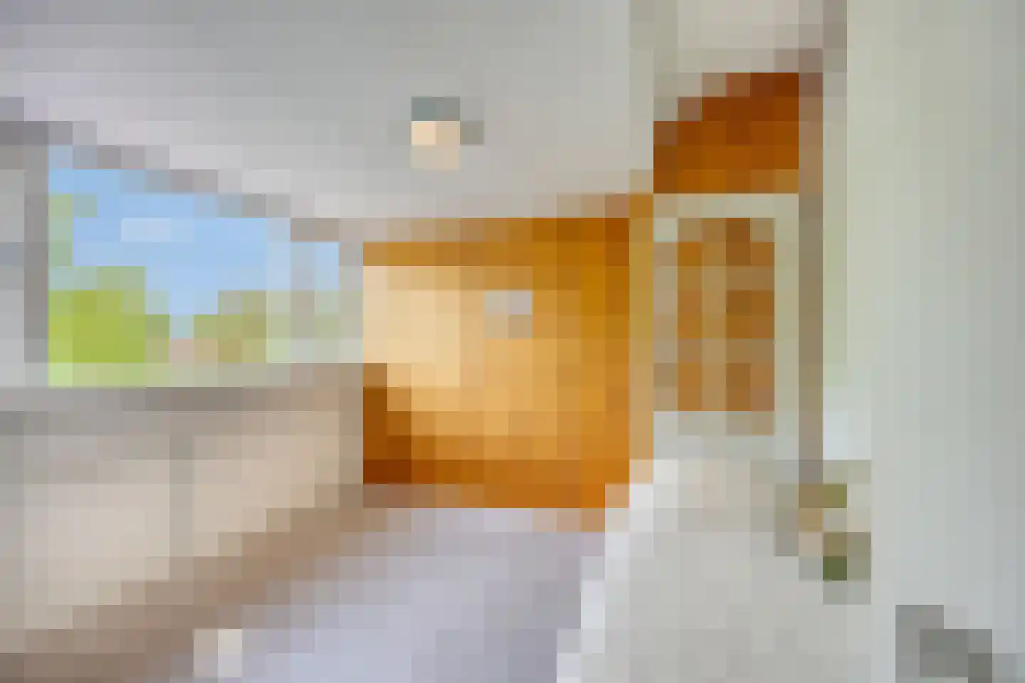 Julianalaan 13 Pijnacker thumbnail 18
