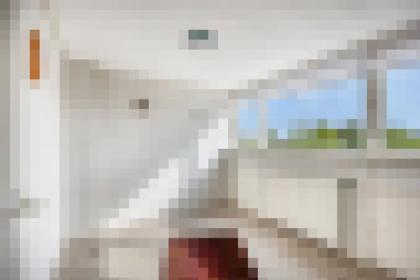 Julianalaan 13 Pijnacker thumbnail 19
