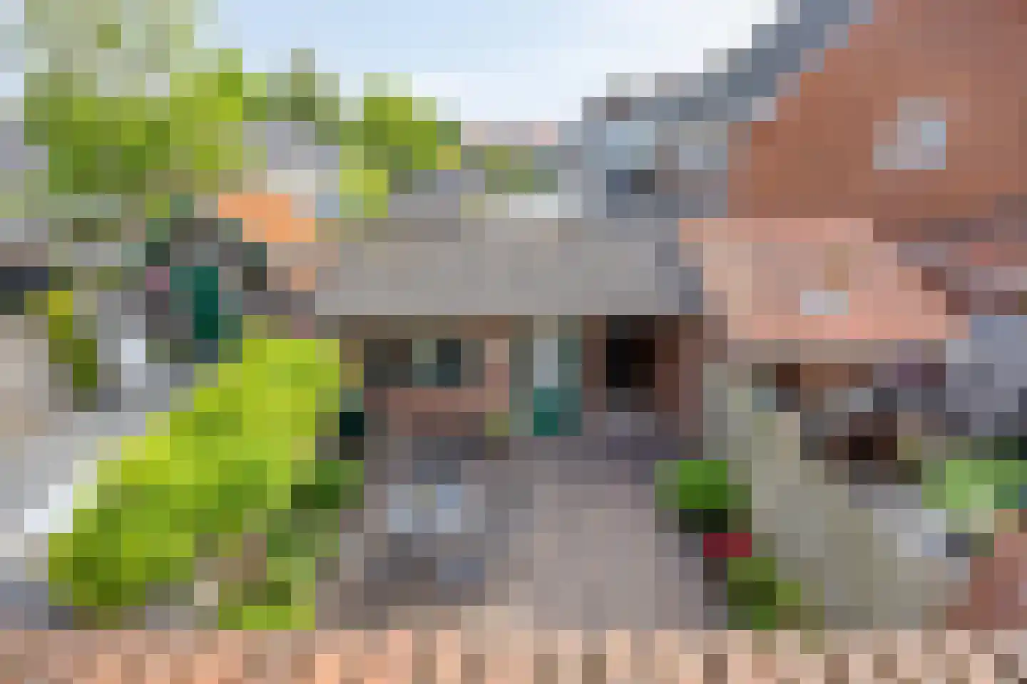 Julianalaan 13 Pijnacker thumbnail 20