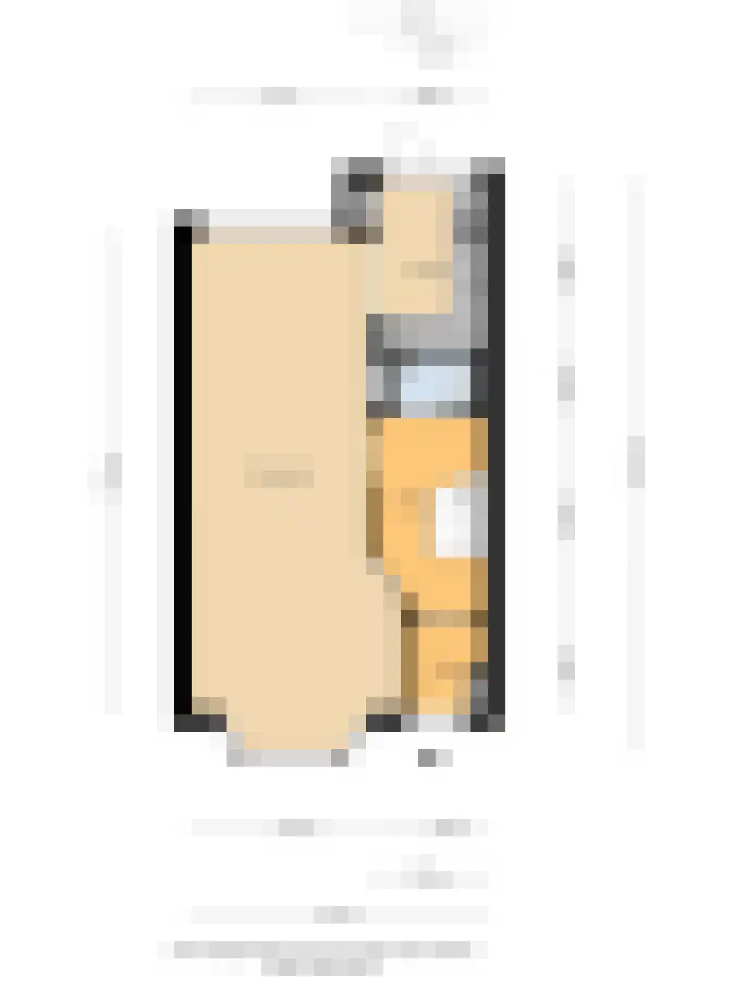 Julianalaan 13 Pijnacker thumbnail 23