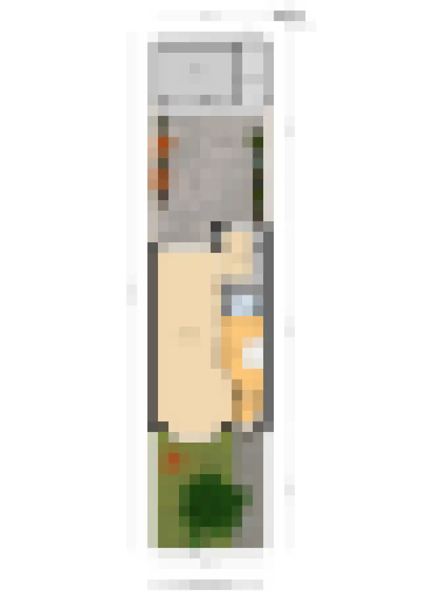 Julianalaan 13 Pijnacker thumbnail 24