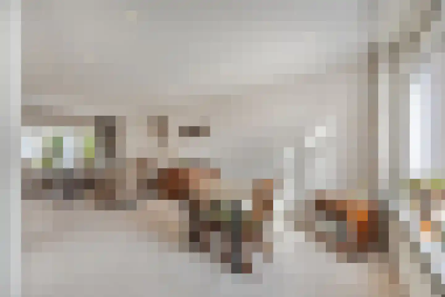 Julianalaan 13 Pijnacker thumbnail 9