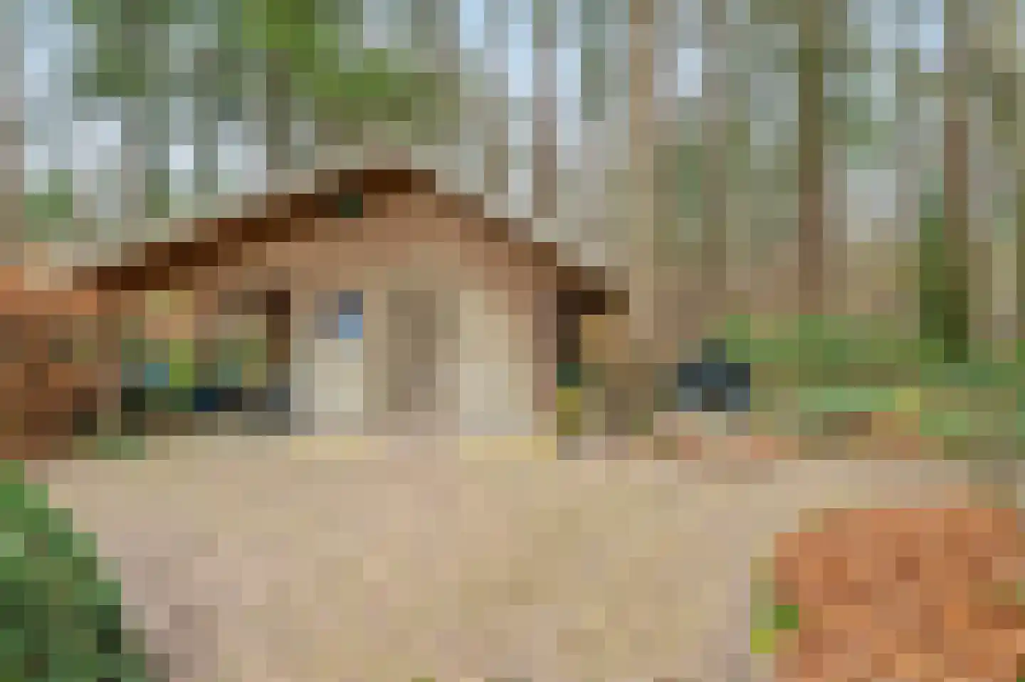Julianalaan 13 Putten thumbnail 54