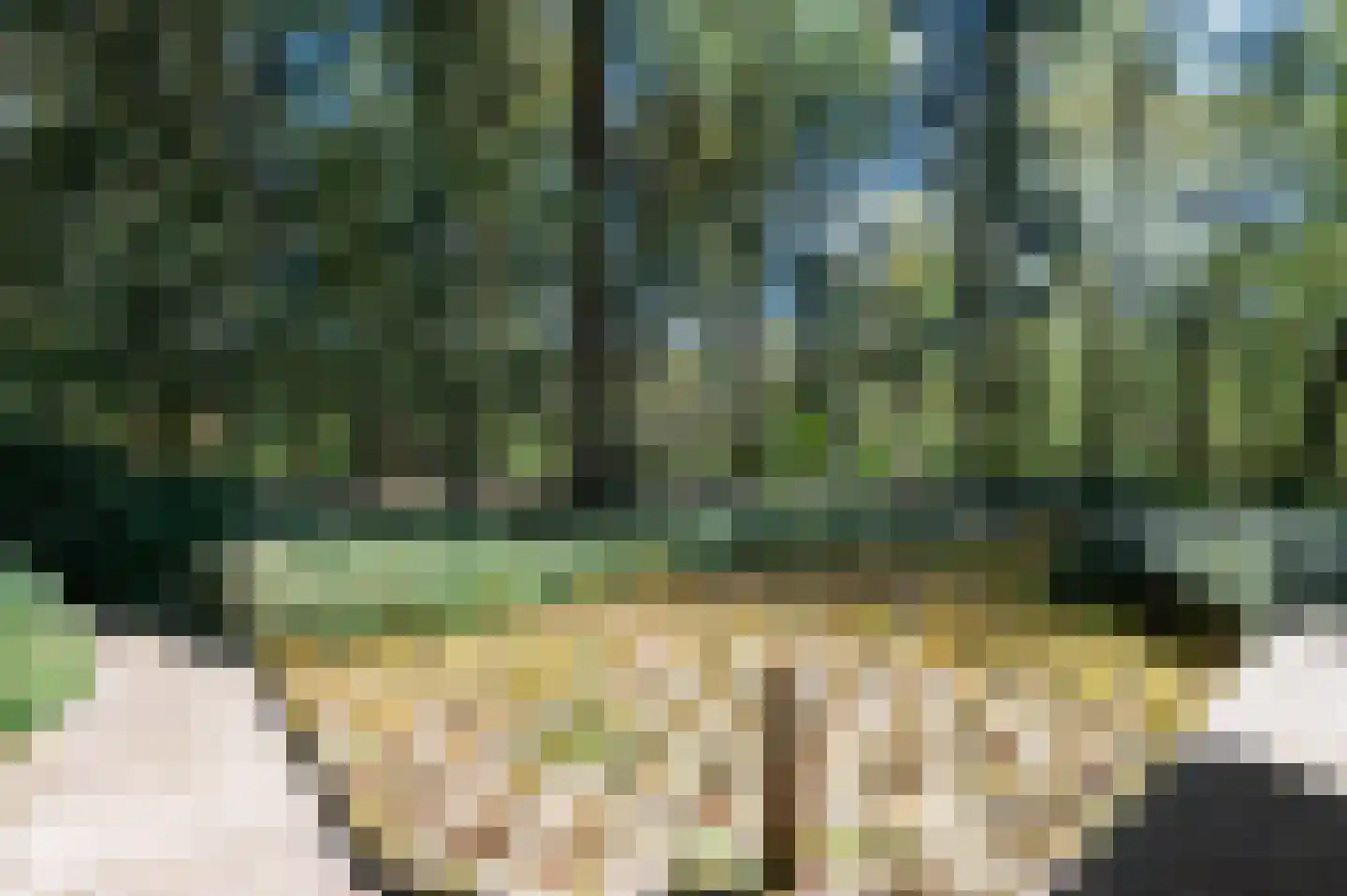 Julianalaan 13 Putten thumbnail 56