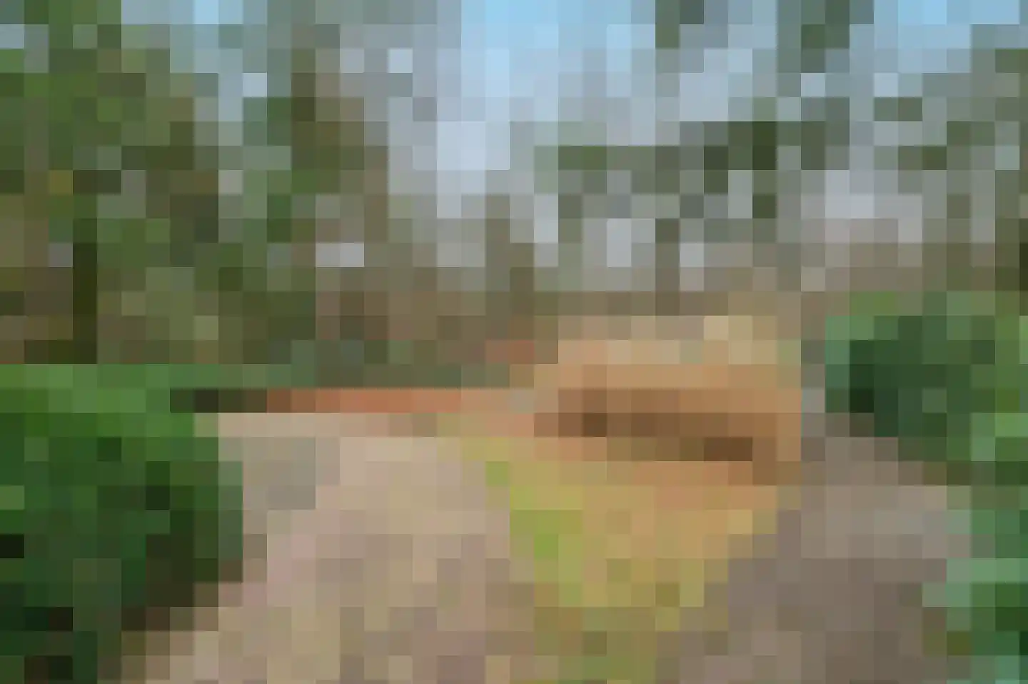 Julianalaan 13 Putten thumbnail 59