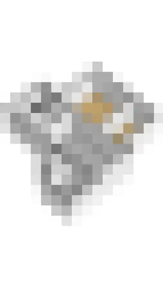 Julianalaan 13 Putten thumbnail 64